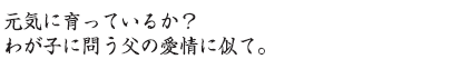 黒酢づくりは我が子に問う父親の愛情ににています