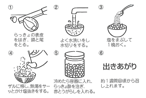 らっきょう漬けの作り方