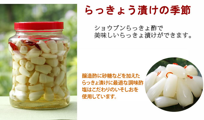 らっきょう漬けの季節 手軽に美味しいらっきょう漬けをつくるらっきょ酢